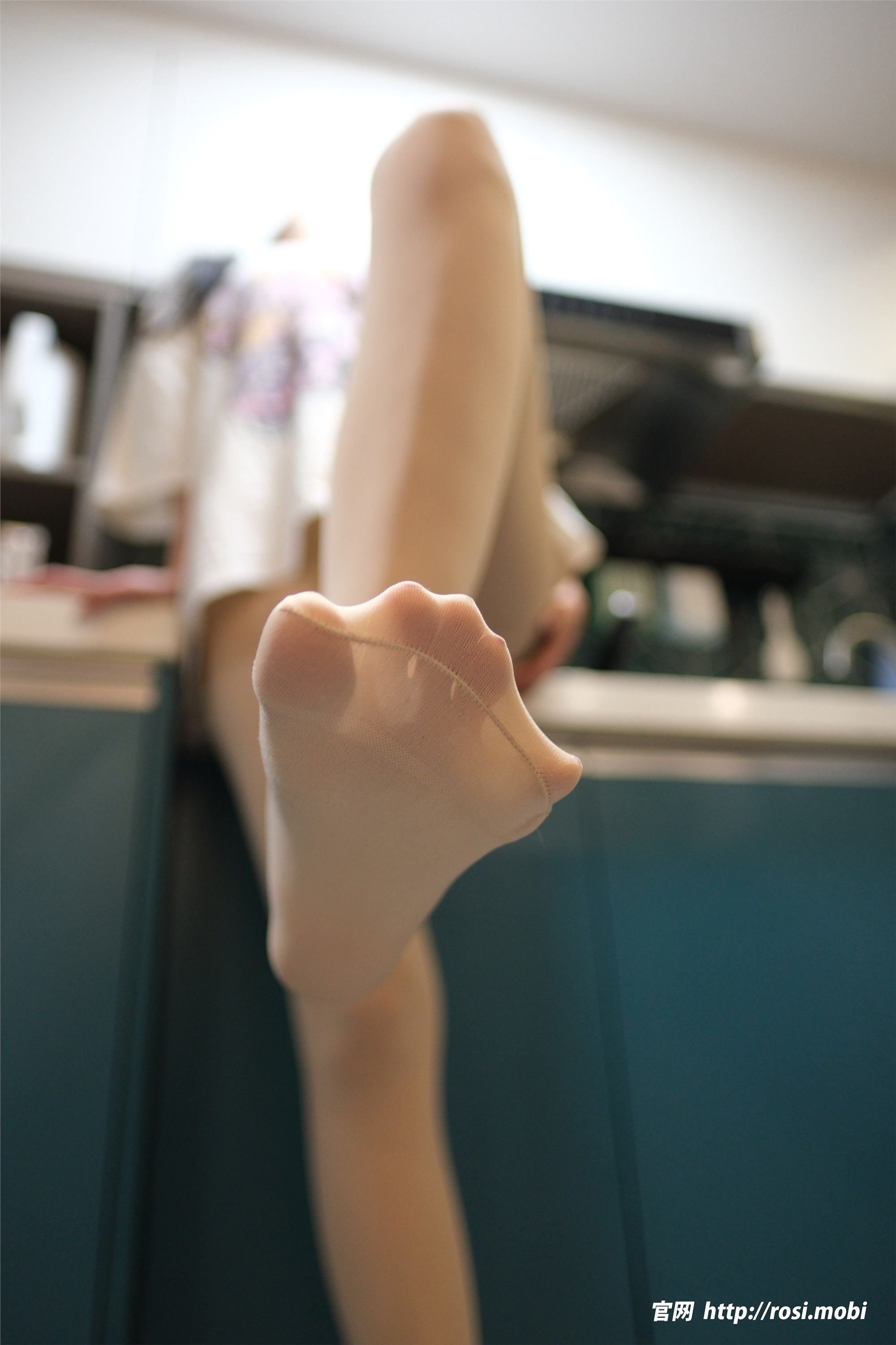 ROSI写真 2025.02.05 NO.4811